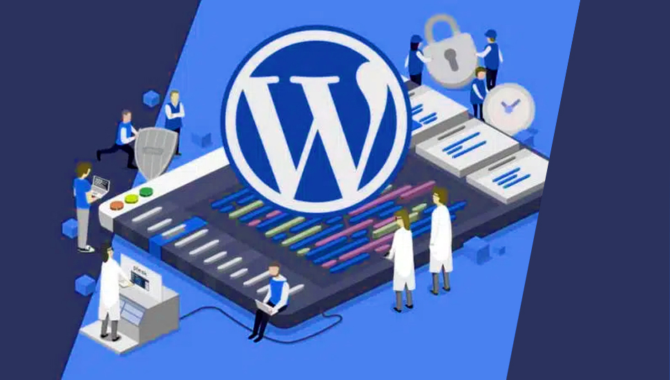 Cubical Solution Offers Services for WordPress Websites