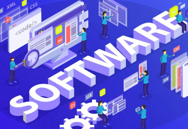Find a Custom Software Development Company
